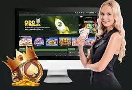 responsible gaming reminder shown within the bk222 Live Casino experience